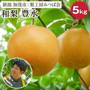 �y�ӂ邳�Ɣ[�Łz�y2026�N��s�\��z�V�����Y �a�� �L�� �I�ׂ�� 3Kg or 5kg or 10kg �s9����{�ȍ~�����t�ق����� �ʕ� �t���[�c�M�t�g �H�̖��o ���Ύs ���H�[�݂Ή�