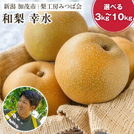 【ふるさと納税】【2026年先行予約】和梨 幸水 選べる量 3Kg or 5kg or 10kg 新潟県産《8月中旬以降発送》こうすい 果物 フルーツギフト 秋の味覚 加茂市 梨工房みつば会
