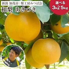 【ふるさと納税】【2024年先行予約】新潟県産 和梨 あきづき「3kg（6～9玉）」or「5kg（9～14玉）」《9月中旬以降発送》 果物 フルーツギフト 秋の味覚 加茂市 梨工房みつば会