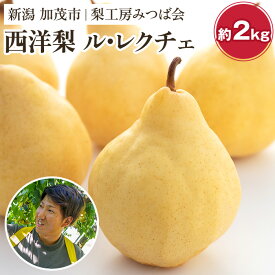 【ふるさと納税】【2024年先行予約】新潟特産 幻の洋梨ル・レクチェ 【家庭用】2Kg（5～7玉）《11月下旬以降発送》果物 フルーツギフト 秋の味覚 加茂市 梨工房みつば会