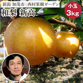 【ふるさと納税】【2025年先行予約】西村の黒酢ミネラル栽培 和梨 「新高（小玉）」 3kg（7〜10玉）《10月上旬〜順次発送》にいたか 梨 和梨 玄米黒酢やヨーグルトを散布して育てた梨 果物 フルーツ ギフト 加茂市 西村果樹ガーデン