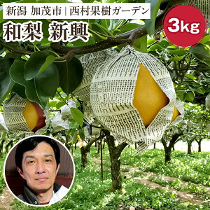 yӂ邳Ɣ[Łzy2025Nz̍|~l͔|uVv3kgi4`9ʁjs11{`t a Ȃ iV { 񂱂 t[c ʕ ʎK[f Ύs