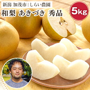 yӂ邳Ɣ[Łzy2025Ns\z炢_̂Â Gi Iׂu3kgvoru5kgvs9{珇t ʎ t[c  Mtg ÂăW[V[ȗ Ȃ H Ύs 炢_