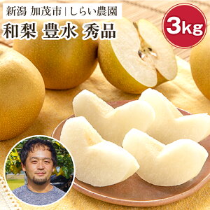yӂ邳Ɣ[Łzy2025Ns\z炢_̘a L Gi3kgi5`9ʁj s9{珇t ʎ t[c  Mtg ÂăW[V[ȗ Ȃ ق Ύs 炢_