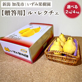 【ふるさと納税】【2026年先行予約】【贈答用】西洋梨ル・レクチェ 「約2kg」or「約3kg」or「約4kg」〈11月下旬〜順次出荷〉 ルレクチェ ル・レクチエ ルレクチエ 幻の洋梨 フルーツ 贈答 冬の味覚 加茂市 いずみ果樹園