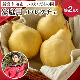 【ふるさと納税】【2024年先行予約】【家庭用】 西洋梨ル・レクチェ 「約2kg」or「約3kg」or「約4kg」 《11月下旬以降発送》 幻の洋梨 フルーツ 新潟の冬の味覚 加茂市 いりえくだもの園