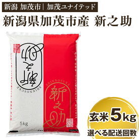 【ふるさと納税】令和5年産 新潟県産 新之助 玄米5kg 選べる配送回数 （通常配送1回～定期便12回） 新潟 ブランド米 加茂市 加茂ユナイテッド