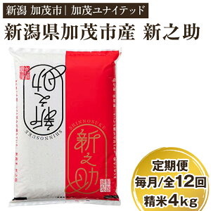 yӂ邳Ɣ[Łzyߘa7NYVāz VY VV 4kgi2kg×2܁j yIׂz iʏz1`12jz s10{珇t   V uh Ύs 