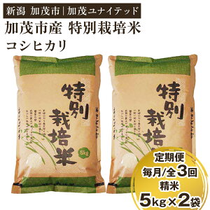 yӂ邳Ɣ[Łzyߘa7NYVāzΎsY ʍ͔| RVqJ 10kg Iׂz iʏz1`3jsoׁt ͔|Ԓ͉w엿E_sgp V  