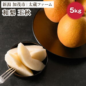 �y�ӂ邳�Ɣ[�Łz�y2026�N��s�\��z�a�� ���H 5kg�i5�`8�ʁj�s11�����{�`�����o�ׁt �������イ �� �ʕ� �t���[�c �V���� ���Ύs �����t�@�[��