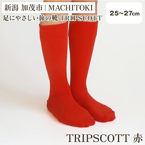 yӂ邳Ɣ[ŁzyIׂTCYEJ[zɂ₳̌CTRIPSCOTT sԁEsNEFEFElCr[u[E ^ 22`24cm or 25`27cmt  X^CbVŏvȃ\bNX 