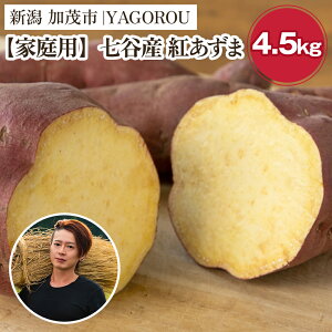 yӂ邳Ɣ[Łzy2025Ns\zyƒpzg iAiEBi݁jIׂ u1kgv or u4.5kgv VΎsJY ܂s10{`t Tc}C  Ă XC[g