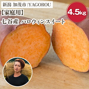 yӂ邳Ɣ[Łzy2025Ns\zyƒpznEBXC[g iAiEBi݁jIׂ u1kgv or u4.5kgv VΎsJY ܂s10{`t Tc}C  Ă