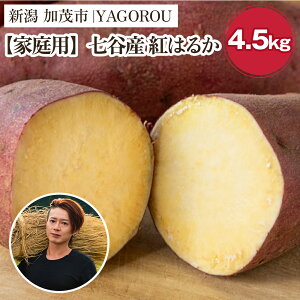 yӂ邳Ɣ[Łzy2025Ns\zyƒpzg͂邩 iAiEBi݁j Iׂ u1kgv or u4.5kgv VΎsJY ܂s11{`t Tc}C  Ă XC[