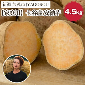 yӂ邳Ɣ[Łzy2025Ns\zyƒpz[ iAiEBi݁j Iׂ u1kgv or u4.5kgv VΎsJY ܂s11{`t Tc}C  Ă XC[g
