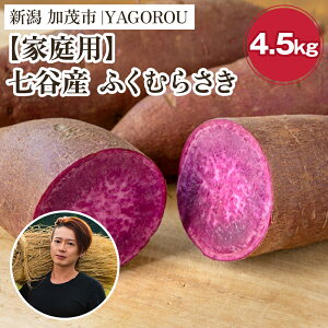 yӂ邳Ɣ[Łzy2025Ns\zyƒpzӂނ炳 iAiEBi݁j Iׂ u1kgv or u4.5kgv VΎsJY ܂s11{`t Tc}C  Ă X