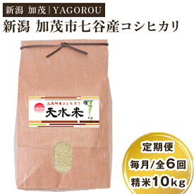 【ふるさと納税】【令和7年産新米先行予約】新潟県加茂市 七谷産コシヒカリ精米10kg 選べる配送回数（通常配送1回〜定期便6回） 《10月中旬～順次発送》 新潟産コシヒカリ 豊かな山水で育った天水米 加茂市 YAGOROU ヤゴロウ