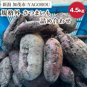 yӂ邳Ɣ[Łzy2025Ns\zyKiOz܂lߍ킹4.5kg VΎsJY s12{`t Tc}C t[hX SDGs lCi Hה g͂邩 g Ă