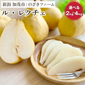 【ふるさと納税】【2026年先行予約】新潟特産 幻の洋梨ル・レクチェ 「2kg」or「3kg」or「4kg」 《11月下旬から順次発送》 果物 フルーツ ギフト 加茂市産ル・レクチェ ルレクチェ 梨 西洋梨 加茂市 のざきファーム