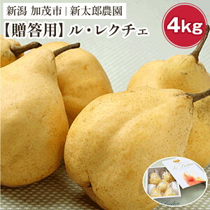 【ふるさと納税】【2025年先行予約】【贈答用】幻の洋梨 ル・レクチェ 選べる「2kg」or「3kg」or「4kg」《11月下旬から順次発送》 化粧箱入り 果物 フルーツ ギフト 贈答 加茂市産ル・レクチェ