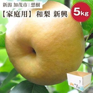 yӂ邳Ɣ[Łzy2025Ns\zyƒpzVYa V 5kgi6`14ʁj s10{珇t Ȃ iV V 񂱂 ʕ ʎ t[c ㊮n ΉʎƏWc 