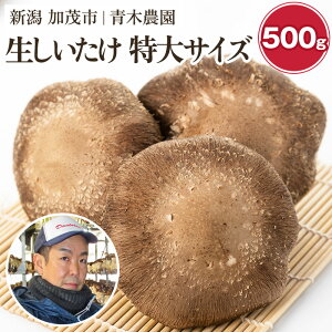 yӂ邳Ɣ[Łzy2025Ns\z TCY Iׂeʁu500gvoru1kgvs11{珇oׁt i]ŋ܎܁I ̂  ő  H׉rbO