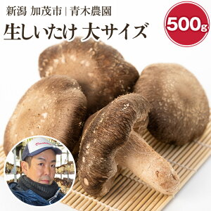 yӂ邳Ɣ[Łz y2025Ns\z TCY Iׂeʁu500gvoru1kgvs10{珇oׁt i]ŋ܎܁I ̂  ő H׉rbOTCY 