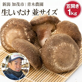 【ふるさと納税】生しいたけ 並サイズ（笠開き）「約500g」or「約1kg」《順次出荷》 品評会で金賞受賞！ きのこ しいたけ 椎茸 特大 食べ応えある大きさ 肉厚で旨味たっぷり！ 加茂市 青木農園