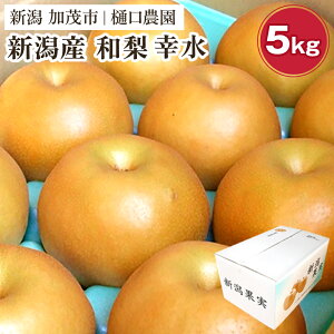 yӂ邳Ɣ[Łzy2026Ns\za K Iׂu3kgvoru5kgvoru10kgvs8{珇tʕ Ȃ   t[c VN W[V[ Yn Ύs _