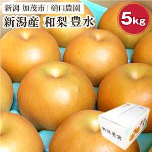 yӂ邳Ɣ[Łzy2025Ns\za L Iׂu3kgvoru5kgvoru10kgvs9{珇tʕ Ȃ ق  t[c VN W[V[ Yn Ύs _