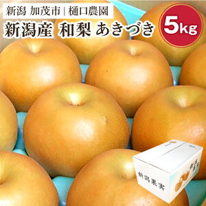 �y�ӂ邳�Ɣ[�Łz�y2026�N��s�\��z�a�� �����Â� �I�ׂ�u3kg�vor�u5kg�vor�u10kg�v�s9�����{�`�����o�ׁt�ʕ� �Ȃ� �� �t���[�c �V�N �W���[�V�[ �Y�n ���Ύs ����_��