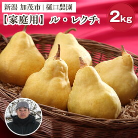 【ふるさと納税】【2026年先行予約】【家庭用】西洋梨 ル・レクチェ 選べる「1kg」or「2kg」or「3kg」or「4kg」《11月下旬～順次出荷》 果物 梨 洋梨 西洋梨 フルーツ 訳あり 冬の味覚 デザート 産地直送 加茂市 樋口農園