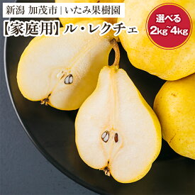 【ふるさと納税】【2026年先行予約】新潟特産 幻の洋梨ル・レクチェ 家庭用 「約2kg」or「約3kg」or「約4kg」《11月下旬～順次出荷》 令和5年新潟県ル・レクチェ果実品評会「県知事賞」 ル レクチェ 果物 フルーツ 新潟県産 特産 産地直送 加茂市 いたみ果樹園
