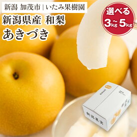 【ふるさと納税】【2026年先行予約】【厳選】新潟県産 和梨 あきづき 選べる内容量 「3kg」or「5kg」《9月上旬以降発送》果物 フルーツ 加茂市 いたみ果樹園