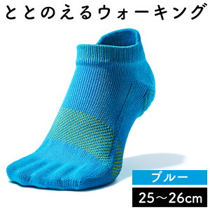 yӂ邳Ɣ[ŁzPA\N ƂƂ̂ EH[LO 22cm`28cmyIׂ4FFsNEu[EO[EubNzjZbNX Y fB[X ̌N ̃gu\h 5{w C 5{