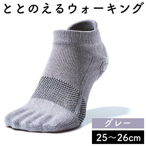 yӂ邳Ɣ[ŁzPA\N ƂƂ̂ EH[LO 22cm`28cmyIׂ4FFsNEu[EO[EubNzjZbNX Y fB[X ̌N ̃gu\h 5{w C 5{