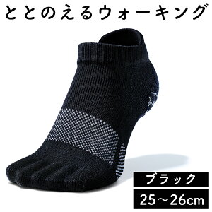 yӂ邳Ɣ[ŁzPA\N ƂƂ̂ EH[LO 22cm`28cmyIׂ4FFsNEu[EO[EubNzjZbNX Y fB[X ̌N ̃gu\h 5{w C 5{