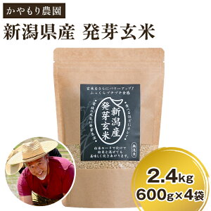 yӂ邳Ɣ[Łzߘa6NY [茺] VY 茺2.4kgi600g×4jV VY _