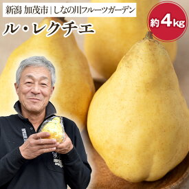 【ふるさと納税】【2026年先行予約】新潟特産 幻の洋梨 ル・レクチェ 【赤秀品】 約4kg （9〜12個）《11月下旬〜お届け》 果物 フルーツギフト 冬の味覚 産地直送 加茂市 山伴しなの川フルーツガーデン