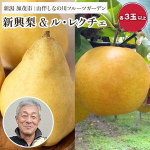 yӂ邳Ɣ[Łzy2025Ns\zVY aƌ̗mEN`F ZbgiV 3 EN`F 4js11{`͂t ʕ t[cMtg ~̖o YnΎs R