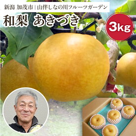 【ふるさと納税】【2026年先行予約】和梨 あきづき 約3kg（約4〜7個）フルーツギフト《9月下旬〜お届け》冬の味覚 産地直送 加茂市 山伴しなの川フルーツガーデン