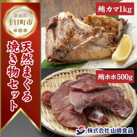【ふるさと納税】天然 マグロ 焼き物セット カマ 1kg ホホ肉 500g 計1.5kg メバチマグロ おかず おつまみ 冷凍 まぐろ ほほ肉 バーベキュー お取り寄せ グルメ 送料無料 山崎食品 新潟県 十日町市 　お届け：入金確認後、約1週間～2週間ほどでお届け