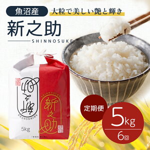 【ふるさと納税】令和6年産 定期便 魚沼産 新之助 精米5kg×6回 お米 こめ コメ  お届け:寄附確認月の翌月より発送いたします。2回目以降は、毎月1回順次発送いたします。