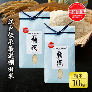 yӂ邳Ɣ[Łz]˓`IIc10kgi5kg×2j  R @͂F2025N11{菇