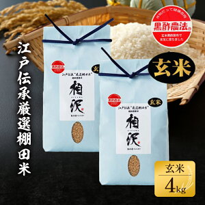 �y�ӂ邳�Ɣ[�Łz�y���āz�]�˓`�����I�I�c��4Kg�i2kg×2�j ���� �R�� 4kg �@���͂��F2025�N11�����{����菇������