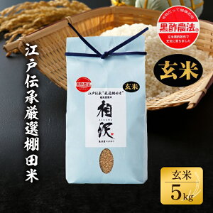 yӂ邳Ɣ[Łzyāz]˓`IIc5kg  R @͂F2025N11{菇