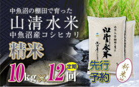 【ふるさと納税】【新米先行受付】【定期便／全12回】精米10kg　新潟県魚沼産コシヒカリ「山清水米」　【定期便・十日町市】　お届け：2024年10月上旬から順次発送します。