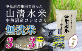 【ふるさと納税】【新米先行受付】【定期便／全3回】無洗米3kg　新潟県魚沼産コシヒカリ「山清水米」　【定期便・十日町市】　お届け：2024年10月上旬から順次発送します。