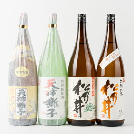 【ふるさと納税】十日町の地酒【松乃井】【天神囃子】1升瓶4本セット　【 お酒 酒 日本酒 純米吟醸酒 本醸造酒 地酒 セット 】　お届け：順次発送