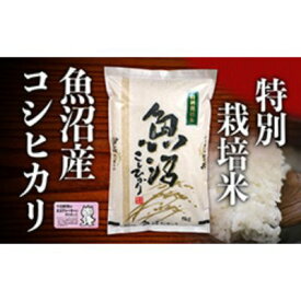 【ふるさと納税】【2025年度産】魚沼産特別栽培米コシヒカリ 10kg お米 おこめ こめ 精米 白米 こしひかり 新潟 　お届け：2025年10月中旬～2026年10月中旬まで